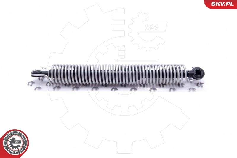 Gas Spring, boot/cargo area